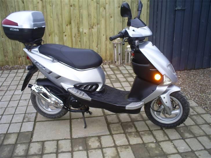 PGO t rex (solgt) billede 12