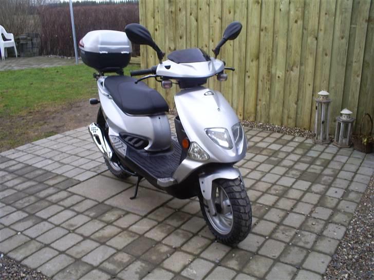 PGO t rex (solgt) billede 13