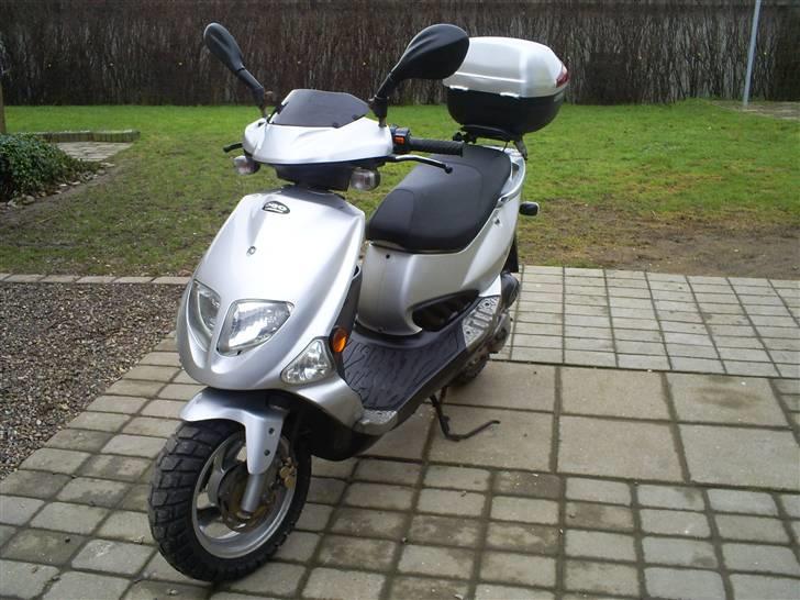 PGO t rex (solgt) billede 14