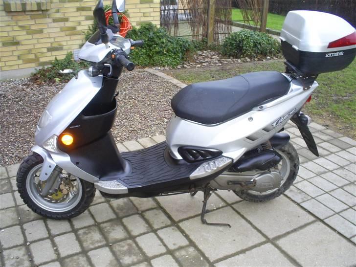 PGO t rex (solgt) billede 15