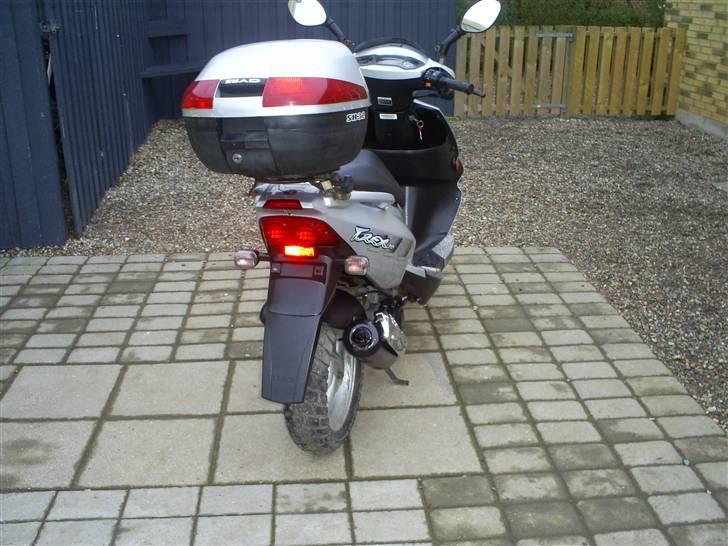 PGO t rex (solgt) billede 16