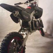 MiniBike orion 29 /   byttet*