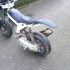 Suzuki Street magic.(SOLGT)