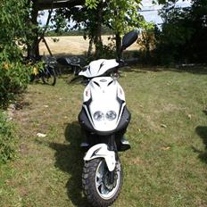 PGO Pmx Sport! !!VINTERHI!!