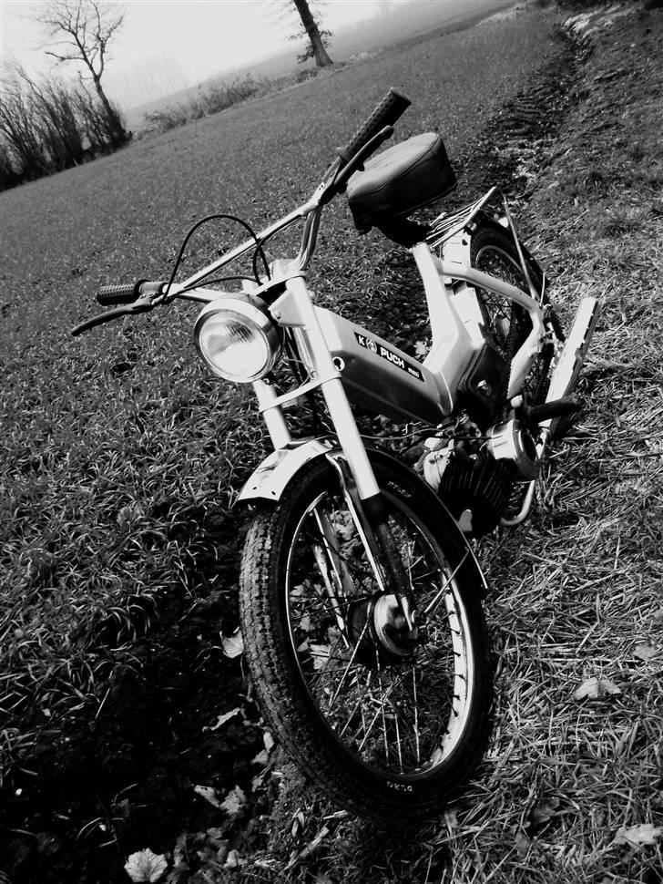 Puch maxi K -->>silver<<-- - skulle lige ses, i sort, hvid :D billede 17