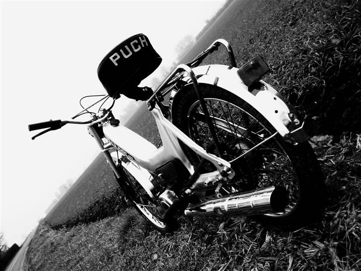 Puch maxi K -->>silver<<-- - skulle lige ses, i sort, hvid :D billede 19