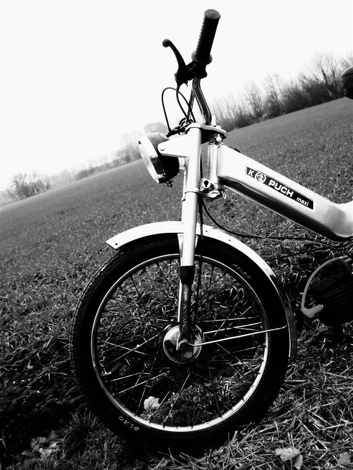 Puch maxi K -->>silver<<-- - skulle lige ses, i sort, hvid :D billede 20