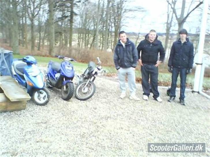 PGO Hot 50 Tølle<3 billede 9