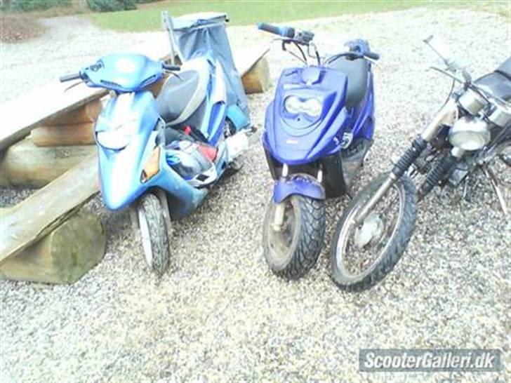 PGO Hot 50 Tølle<3 billede 11