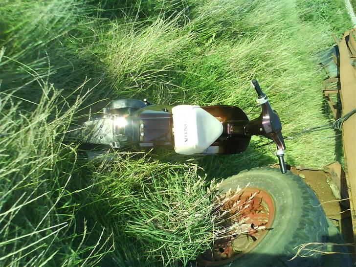 Honda Melody. Nu! billede 17