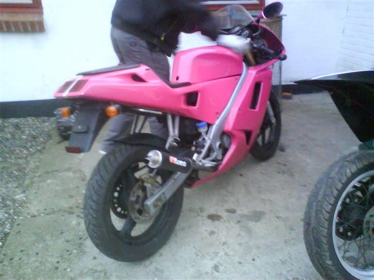 Gilera SMT BRANDT billede 4