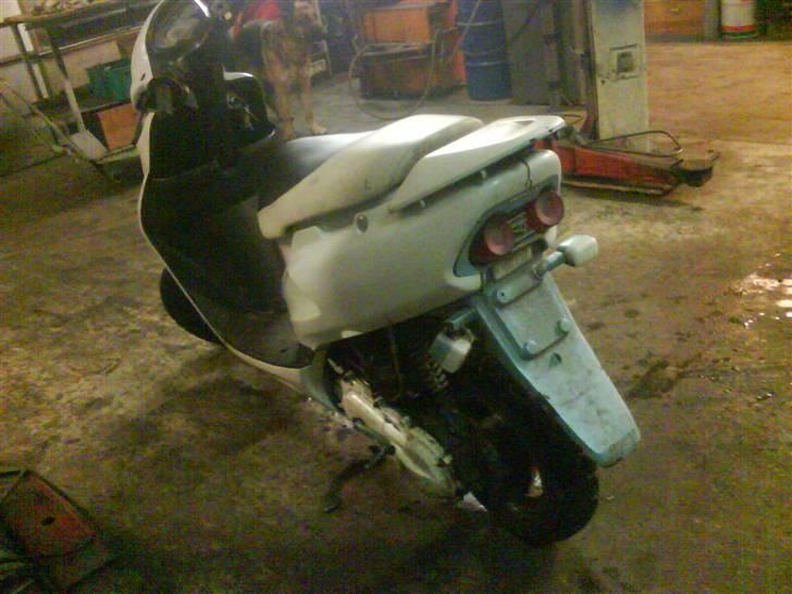 Honda Sfx solgt billede 4