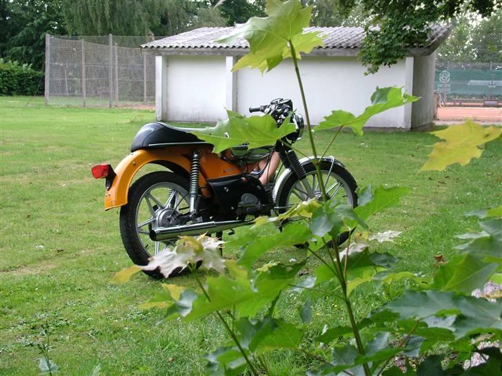 Kreidler Athena Florett  billede 6