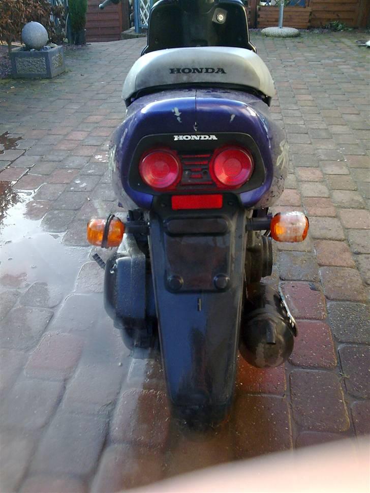 Honda Sfx *Byttet Cpi Oliver* billede 3