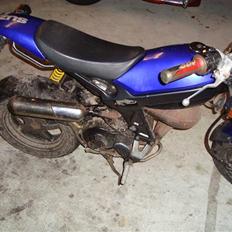 Suzuki street magic  TIL SALG
