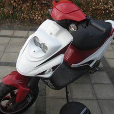 PGO Hot 50