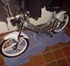 Puch Maxi   "solgt"