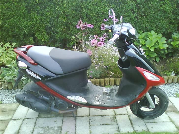 PGO Galaxy 50 billede 4