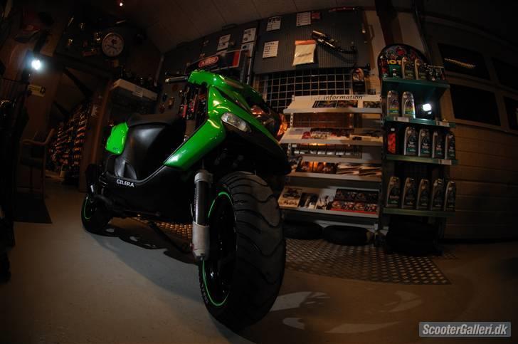 Gilera stalker billede 8