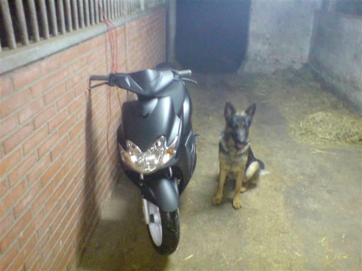 Yamaha Jog r Hverdages ;) billede 7