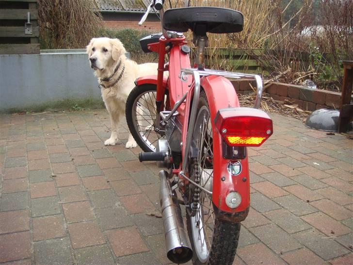 Puch MAXI K   98% Org. billede 5