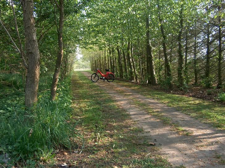 Puch maxi 2 gear - inden jeg fik gjort den lidt mere standard billede 9