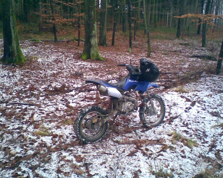 MiniBike Orion 125 ccm ÐÐ  byttet  billede 11