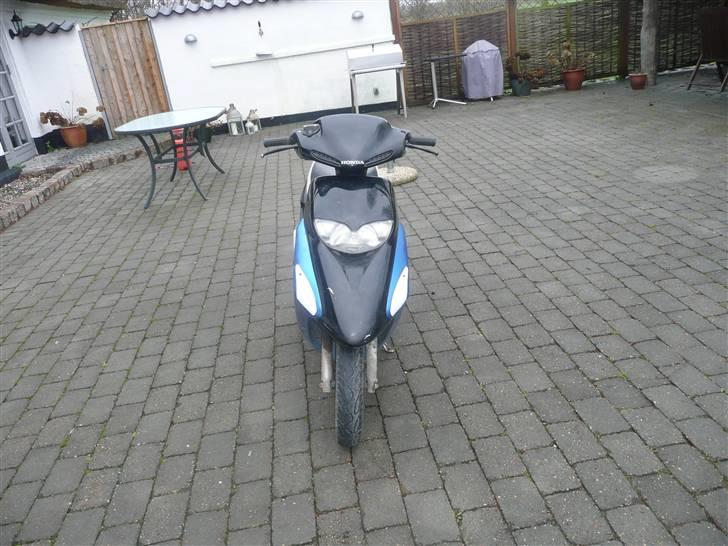 Honda sfx (solgt) billede 2