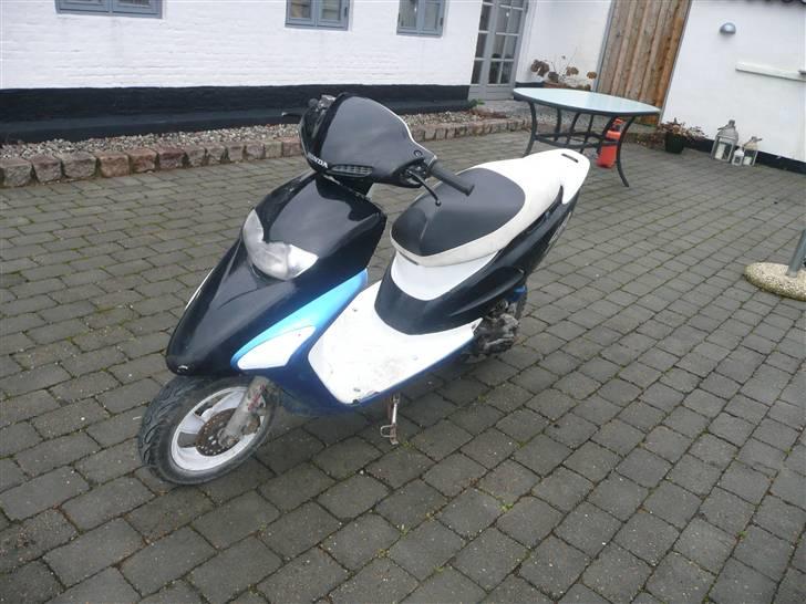 Honda sfx (solgt) billede 3