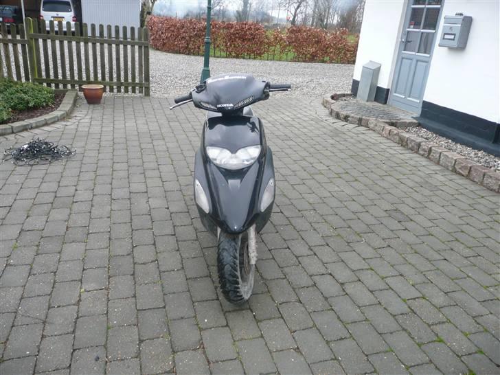 Honda sfx (byttet) billede 3