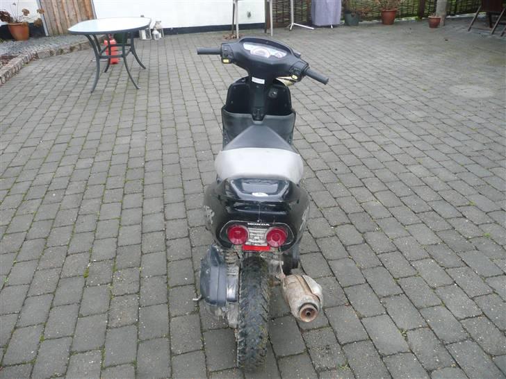Honda sfx (byttet) billede 6