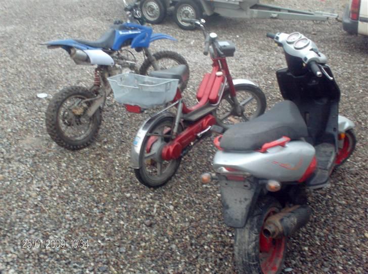 Vespa bravo  billede 8