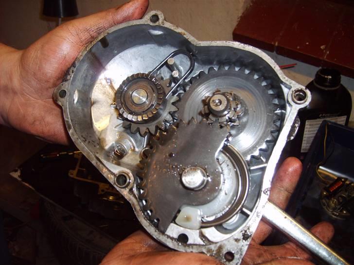 Puch maxi k - Solgt billede 13