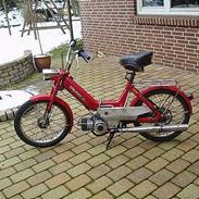 Puch Maxi @ P
