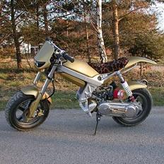 Suzuki Street Magic