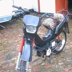 Yamaha sting #SOLGT#