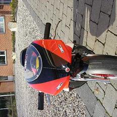MiniBike SJMG 200