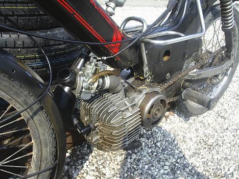 Puch Maxi PROJEKT billede 2