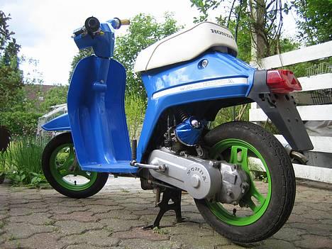 Honda Melody Mini TILBAGE!! billede 2