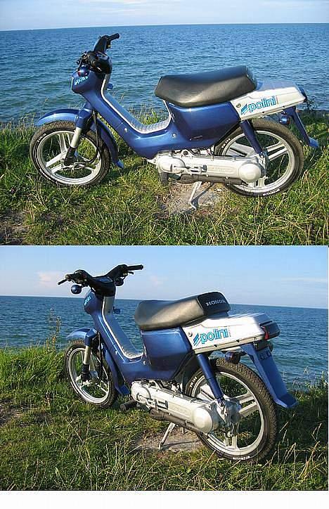 Honda wallaroo TeaMs! YeaR TWO! - min elskede j´kone rauw!  billede 6