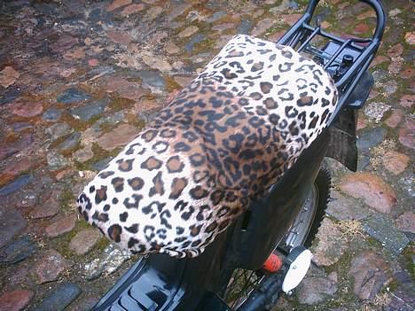 Yamaha sting #SOLGT# billede 8