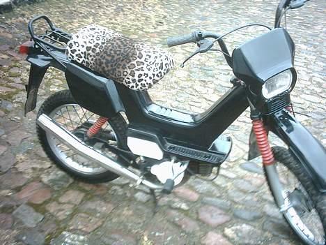 Yamaha sting #SOLGT# billede 5