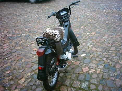 Yamaha sting #SOLGT# billede 4