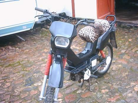 Yamaha sting #SOLGT# billede 3