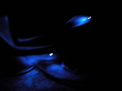 Honda SFX Sport billede 3