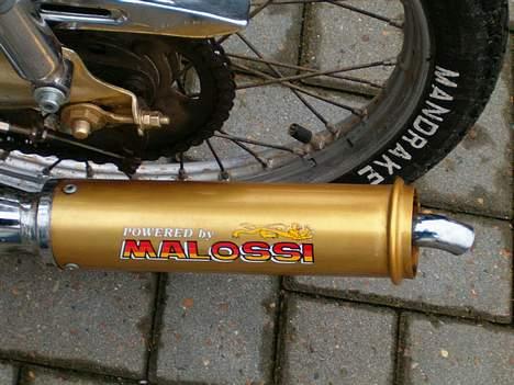 Puch Maxi KL billede 9