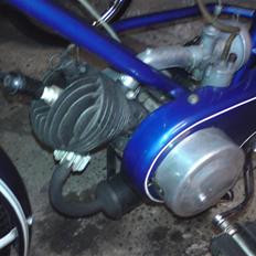 Veteraner wittler solgt :'(