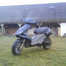 Benelli 491!..