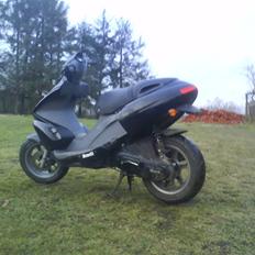 Benelli 491!..