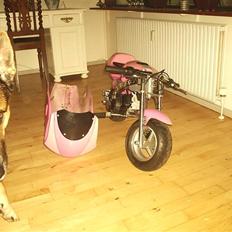 MiniBike 49 cc pink panter